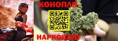 прущий лед Будённовск
