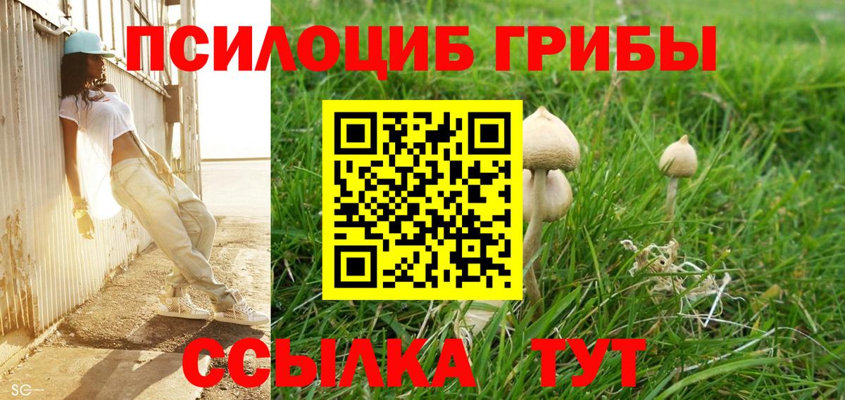 Псилоцибиновые грибы GOLDEN TEACHER  Псилоцибиновые грибы мицелий  Вход с VPN  Унеча 